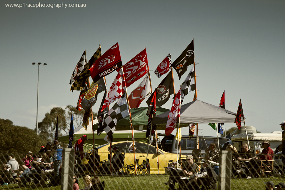 V8 Supercars 2014 - Sandown 500 - Sunday - Crowd of Holden supporters and flags on Turn 11 hill 1